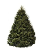 Hilltop Christmas Trees Available for Home Delivery