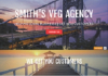 Smith's VFG Agency Helps Local Businesses Dominate