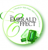 Experience the Emerald Effect! An Enchanting Evening Hosted by Alpha Kappa Alpha Foundation of Detroit at the Newly Renovated Shed 5 in the Eastern Market on November 6