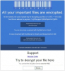 Nabz Software Suite Integrates Removal of the New TeslaCrypt Ransomware Virus