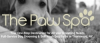 The Paw Spa in Thornwood, NY Introduces Self-Wash Dogs Baths for 25% Off Through January