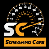 Automotive Influencer Screaming Cars to Sponsor Festivals of Speed in Hallandale