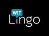 Witlingo Launching the Motley Fool on Google Home