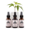 Crave Skincare’s CBD Products Ask Fans to Join the Beauty Counter-Culture