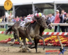 American Equus Rider Javier Castellano Wins 2017 Preakness Stakes Aboard Cloud Computing