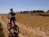SpiceRoads Cycling Launches Adventure Biking Tours in Jordan and Israel