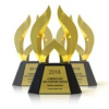 Best Small Business Web Site to be Named by Web Marketing Association in 22nd Annual WebAward Competition