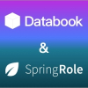 Announcing Databook & SpringRole Partnership