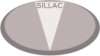 SILLAC - RegVine to Boost Chemical Management Compliance