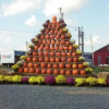 South Jersey Pumpkin Show Festival Celebrates the Fall Harvest of Pumpkins