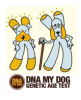 DNA My Dog Introduces New Canine DNA Test That Identifies Both Genetic Age and Breed of Dogs