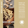 Color Marketing Group Announces 2020+ Asia Pacific Key Color – Seed of Life