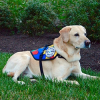$10,000 SDWR Autism Service Dog Grant Awarded to 8-Year-Old Boy in Deer Park, WI