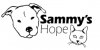Sammy's Hope Holds 2nd Annual Fun Run and Walk on October 26 in Sayreville, NJ
