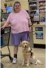 Psychiatric Service Dog Delivered by True Blue Service Dogs (TBSD) to a Very Lucky Woman in Tacoma, WA