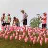 Fripp Island and Pledge the Pink Attempt to Break Guinness World Record for Longest Line of Yard Flamingos