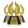 Best Small Business Web Site to be Named by Web Marketing Association in 24th Annual WebAward Competition