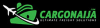 Cargonaija Set to Revolutionize Cargo Shipping from Dubai to Nigeria