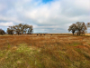 Mitigation Project in West Roseville Marries Land Conservation with Residential Development