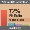 Nonprofit Releases 2020 Dog Bite Fatality Statistics - Attacks by Bull Breeds Increase and Trends from the 16 Year Data Set