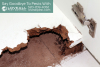 How to Stop Termites from Invading Home by Loveall Pest Control LLC