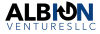 Leading Technology Advisory and Systems Integrator Albion Ventures Names President and CEO