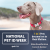 Would Your Pet Make It Home? Check. Update. Protect. National Pet ID Week Savings at DogTuff