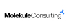 Molekule Consulting Announces the Launch of E.U. - Based Operations