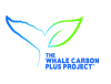 The Whale Carbon Plus Project™ Ethical AI and Diverse Ocean Stakeholders Bring Whales to the Blue Carbon Market in an Unprecedented New Way