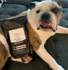 Coffee Company Supporting Dog Rescues Throughout the U.S.
