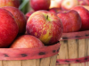 South Jersey Apple Fest Coming to Salem County, New Jersey