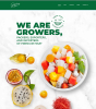 Grower Promotes Traceability and Buyer Tools with New Website