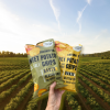 NC Chips Manufacturer Tackles Food Waste & Emissions Through Sustainability