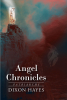 Dixon Hayes’s Newly Released "Angel Chronicles: Patriarchs" is a Compelling Blend of Fantasy and Knowledge from Religious Texts