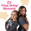 DOGTV Launches New Program "The Dog Moms" Starring Nationally Renowned Dog Trainers Chrissy Joy and Amber Aquart