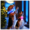 Glow Collar™ Brightens Pet Accessory Industry with High-Quality LED Dog Collar Launch