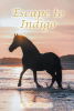 M. McAlhany C.’s Newly Released “Escape to Indigo” is a Fascinating Fantasy Journey That Takes Readers to a Wonderous Land of Unexpected Beauty