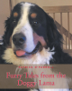 Patrick O'Farrell’s New Book, “Furry Tales from the Doggy Lama,” is a Series of Hilarious and Heartwarming Stories Centered Around the Loving Pets of the Author's Family