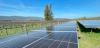 Honig Vineyard and Winery in Napa Valley Boosts Sustainable Viticulture with SolarCraft Solar Panel Installation