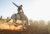 BEK TV’s Dakota Cowboy Picked Up by Global Rodeo Group