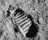 Space Lab® Selected by NASA to Develop EcoMine™ − A Bioregenerative Mineral Mining Facility for the Moon