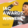 Web Marketing Association Announces the Winners of the 2024 Internet Advertising Competition Awards
