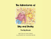 Pamela Goings’s New Book, “Adventures of Sky and Ducky: The Big Woods,” Follows a Young Boy and His Stuffed Duck Who Wind Up Lost in the Woods While Gathering Leaves