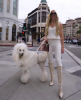 HT Animal Supply Welcomes Allysa Payne Beverly Hills: A New Standard in Luxury for Pets and Pet Parents