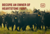 Heartstone Farm Launches Crowdfunding Equity Campaign on StartEngine