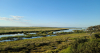 Habitat Improvement Funding Awarded for Aransas National Wildlife Refuge