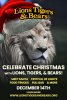 Christmas with the Animals at Lions Tigers & Bears