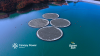 Canopy Power Australia and Ocean Sun Team Up to Bring Floating Solar to Australia