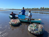 Local North Carolina Company Filters Direct USA Partners with Tidey Ocean to Remove Plastics from Our Oceans