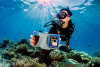 SeaLife Unveils New SportDiver S Underwater Smartphone Housing